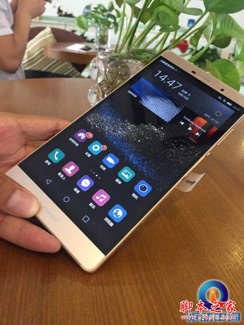 ľޣ6.8Ӣ绪ΪP8maxͼ