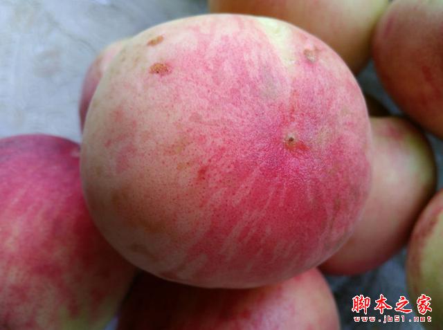 4GȫͨսԼ۱ȣTCLôô3S