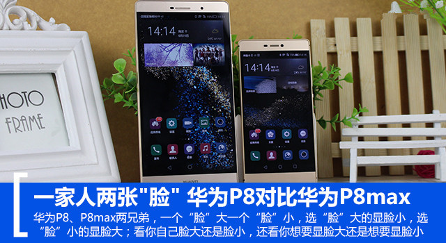 һ"" ΪP8ԱȻΪP8max 