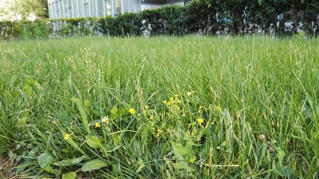 һ"" ΪP8ԱȻΪP8max 