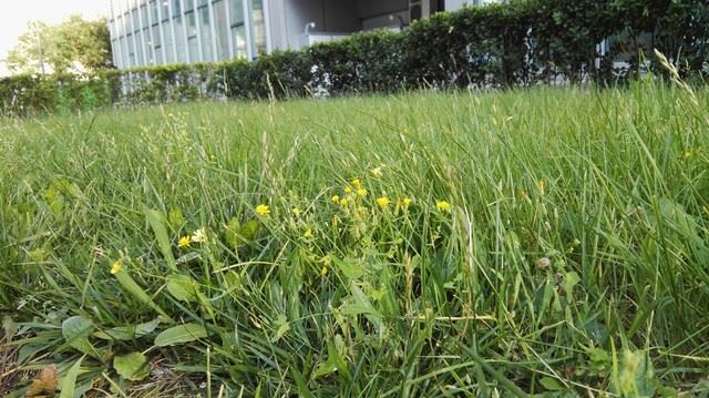 һ"" ΪP8ԱȻΪP8max 