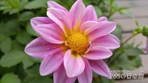 LG G4详细评测视频