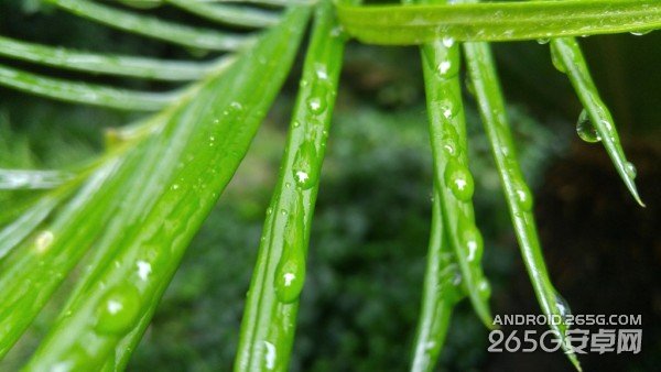 LG G4详细评测视频