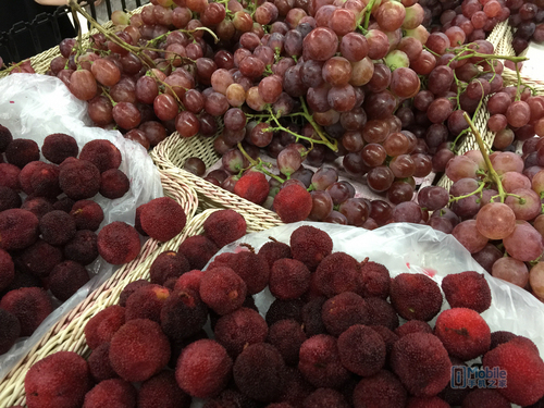 iPhone 6P样张-5 iPhone 6P样张-5