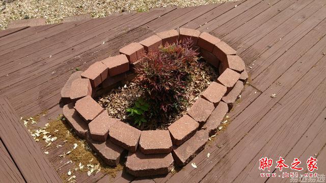 LG G4照相有多强?实拍样张过程告诉你