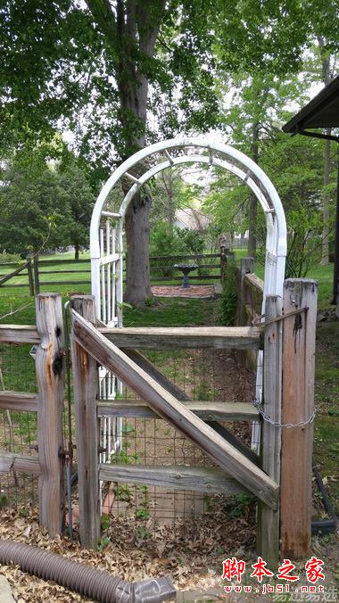 LG G4照相有多强?实拍样张过程告诉你