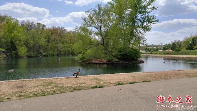 LG G4照相有多强?实拍样张过程告诉你