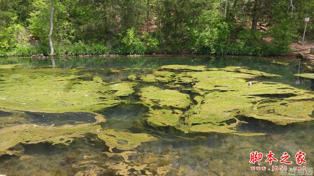 LG G4照相有多强?实拍样张过程告诉你