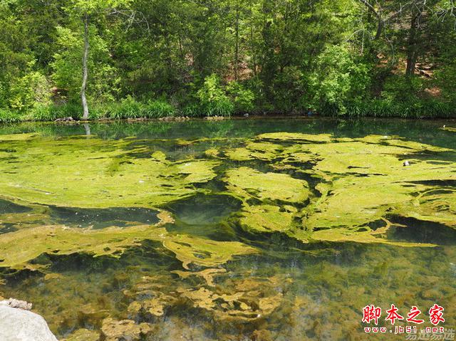 LG G4照相有多强?实拍样张过程告诉你