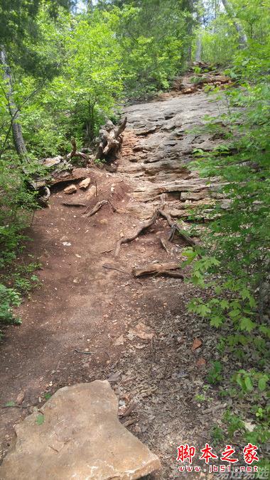 LG G4照相有多强?实拍样张过程告诉你