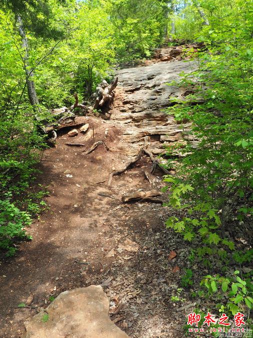 LG G4照相有多强?实拍样张过程告诉你