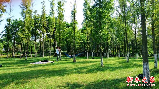 最好玩的拍照手机,ZenFone2+Zenflash拍照体验