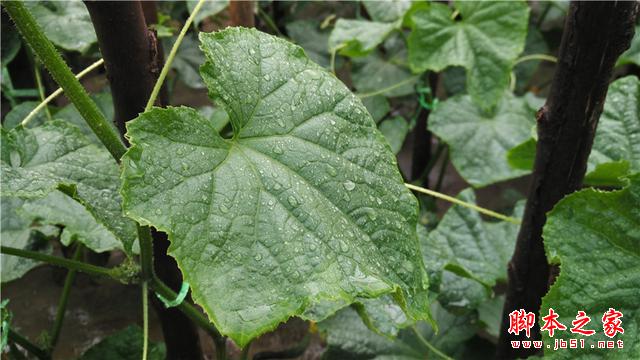 可能是今年最OK的千元机——小米4i初体验