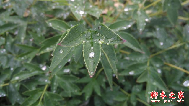 可能是今年最OK的千元机——小米4i初体验