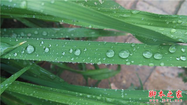 可能是今年最OK的千元机——小米4i初体验