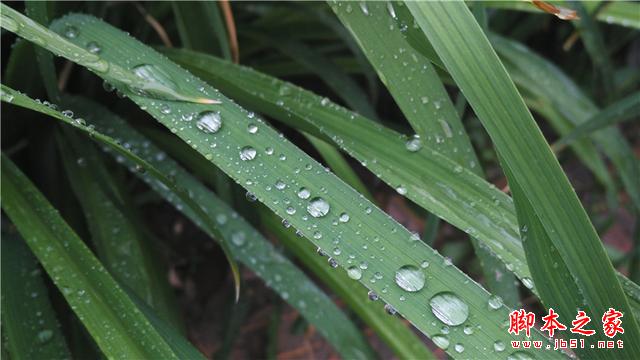 可能是今年最OK的千元机——小米4i初体验