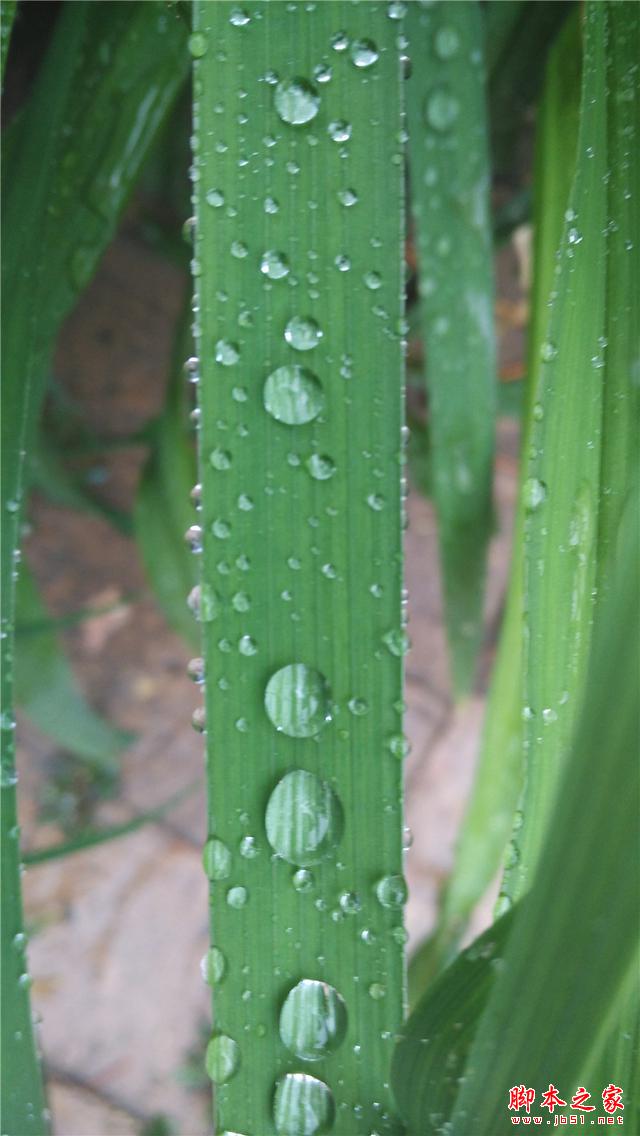可能是今年最OK的千元机——小米4i初体验