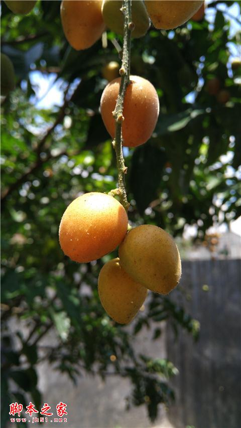 Z9长期体验:无边框非唯一亮点