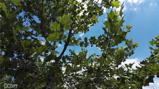 全面进化的新旗舰:华为旗舰7终极详评