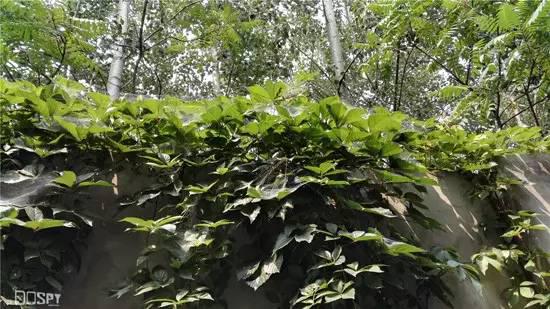 全面进化的新旗舰:华为旗舰7终极详评