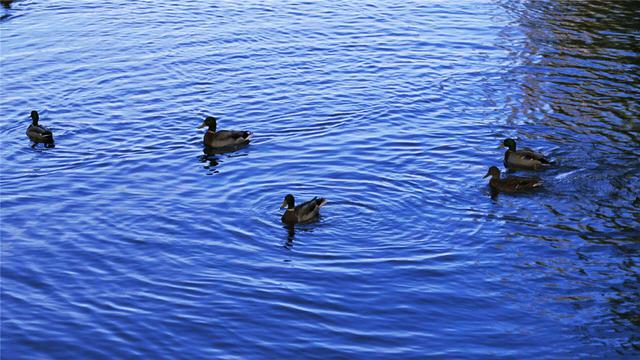 英特尔芯可成主流 ?华硕ZenFone 2性能体验