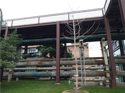 努比亚my布拉格怎么样 努比亚my布拉格上手体验评测19