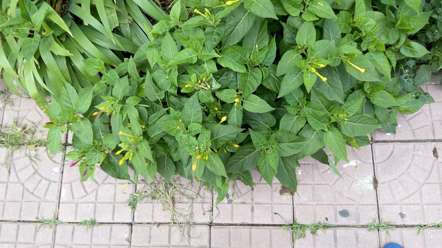 大神Note3评测:全球首款千元指纹手机