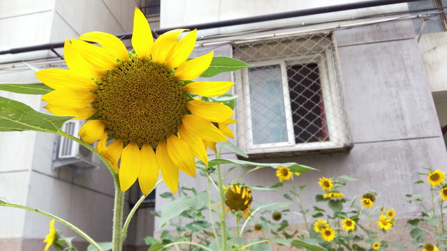 大神Note3评测:全球首款千元指纹手机