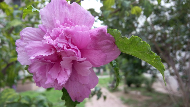 大神Note3评测:全球首款千元指纹手机