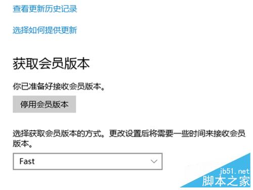 win10系统更新没有快速选项怎么办？
