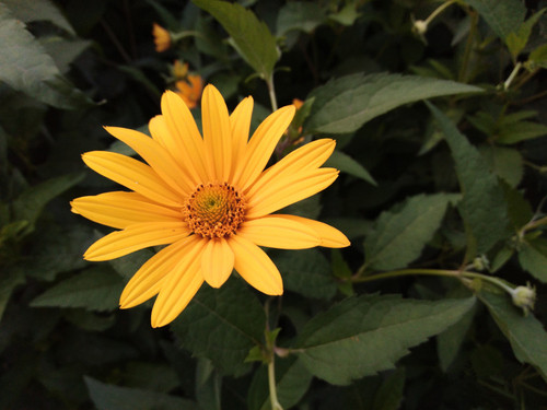 威武3样张-2 威武3样张-2