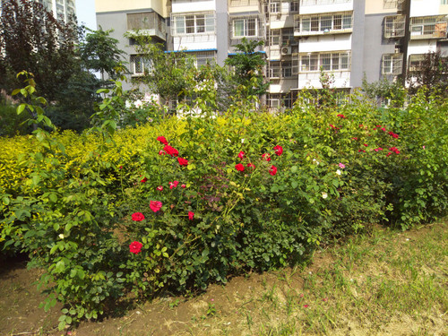 威武3样张-4 威武3样张-4