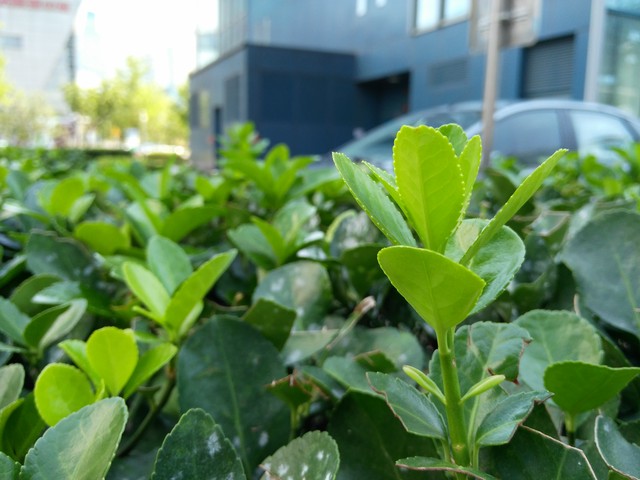 :ZUKضûԵʲô̶ȣ÷÷÷  