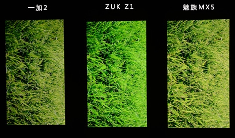 1439287576978333.jpg 5.jpg