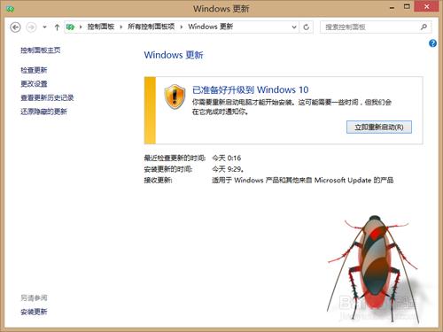 win8.1升级到win10错误代码80240020怎么办？