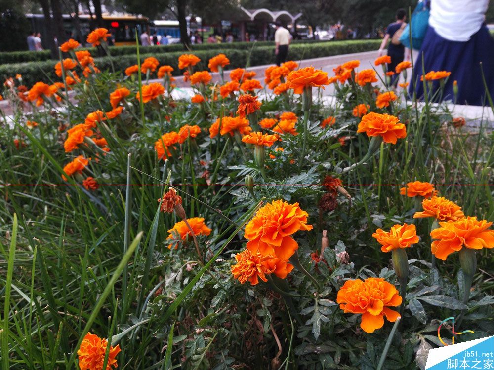 华为荣耀7i拍照效果怎么样?荣耀7i上手试玩测