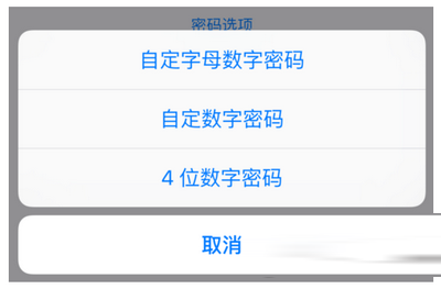 ios9怎么设置6位密码 ios9设置6位密码图文教程5