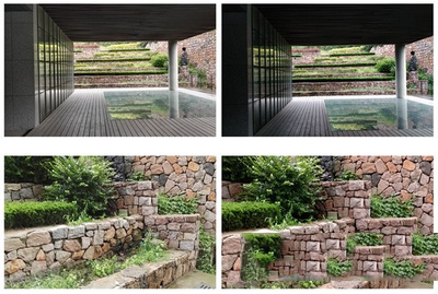 Ϊp8axonĸ Ϊp8axonԱ22