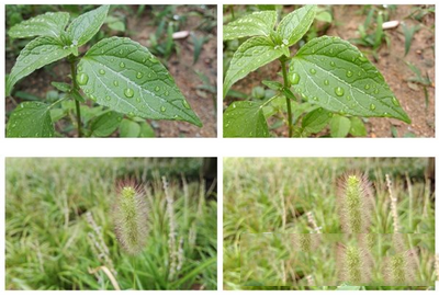 Ϊp8axonĸ Ϊp8axonԱ23