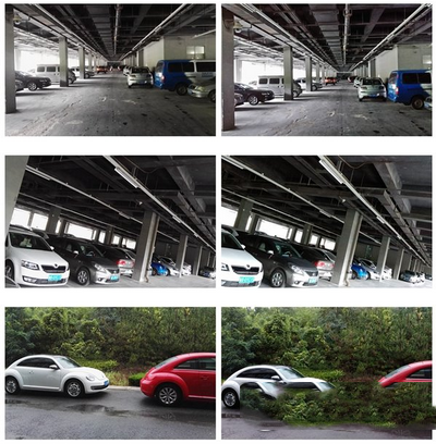 Ϊp8axonĸ Ϊp8axonԱ24