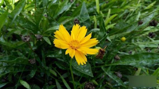 联想P1评测:长续航64位八核智能强机