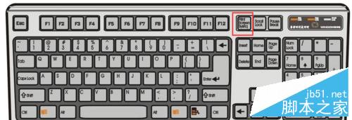 电脑截屏怎么截?几种常见又简便的电脑截屏方