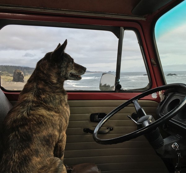 iPhone 6sôƻiPhone 6sֳͼ