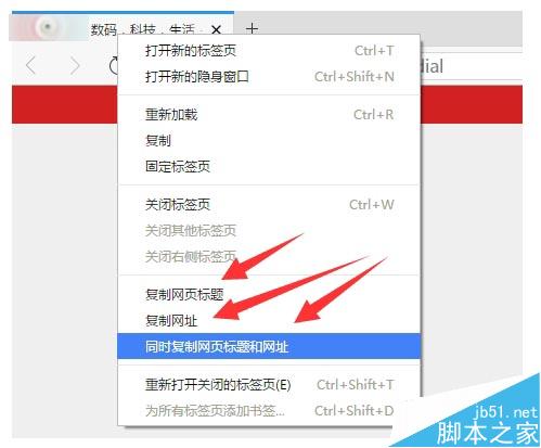 电脑版旗鱼浏览器1.0 Beta2 公测版发布 内附下载 电脑版旗鱼浏览器1.0 Beta2 公测版发布 内附下载_新客网