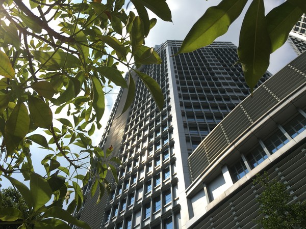 iPhone 6s拍照样张2