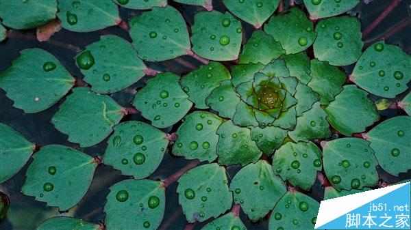 下载：Win10预览版全新壁纸