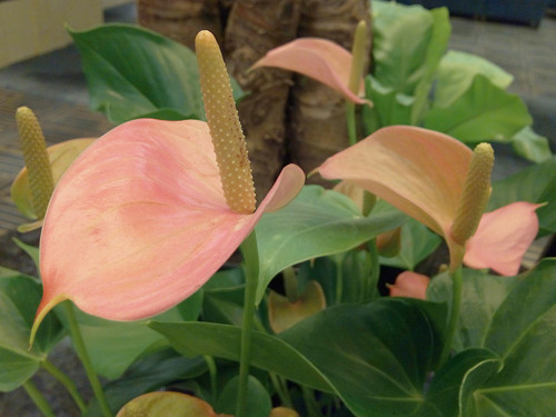 360 OSȫͨ999Ԫ Note3ɫ 