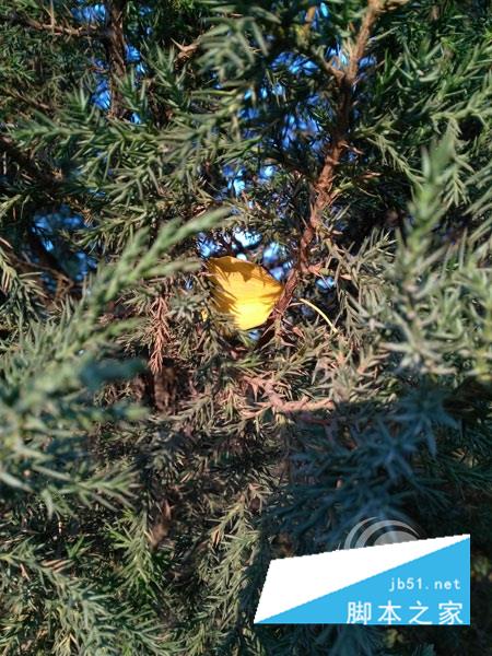 3GBڴ棡ҫ5X⣺ǧԪɱ