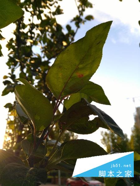 3GBڴ棡ҫ5X⣺ǧԪɱ