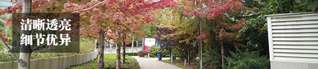 OPPO R7sô OPPO R7sֻܶԱ